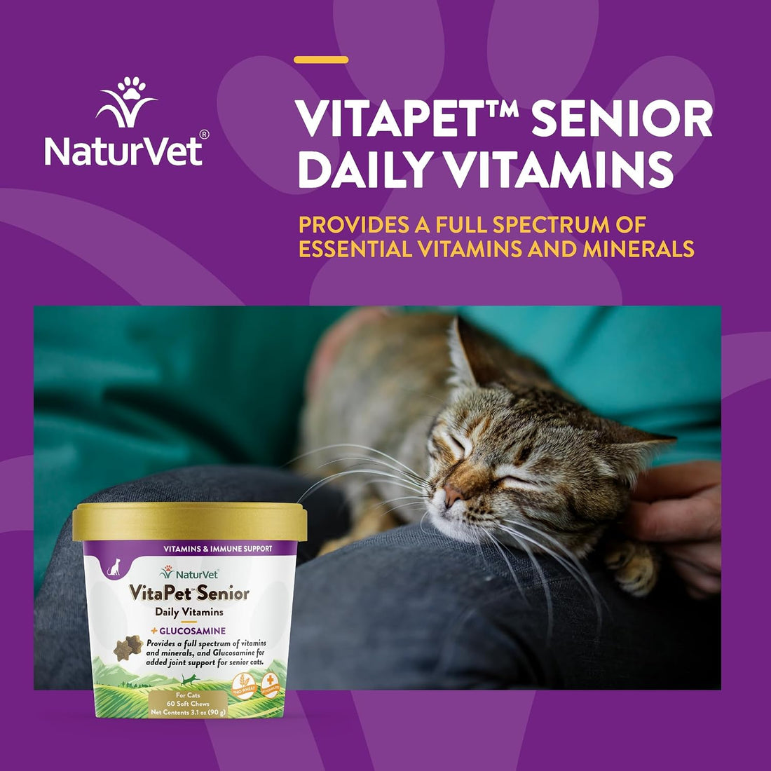 NaturVet VitaPet Senior Daily Vitamins Supplement for Cats - 60 Ct