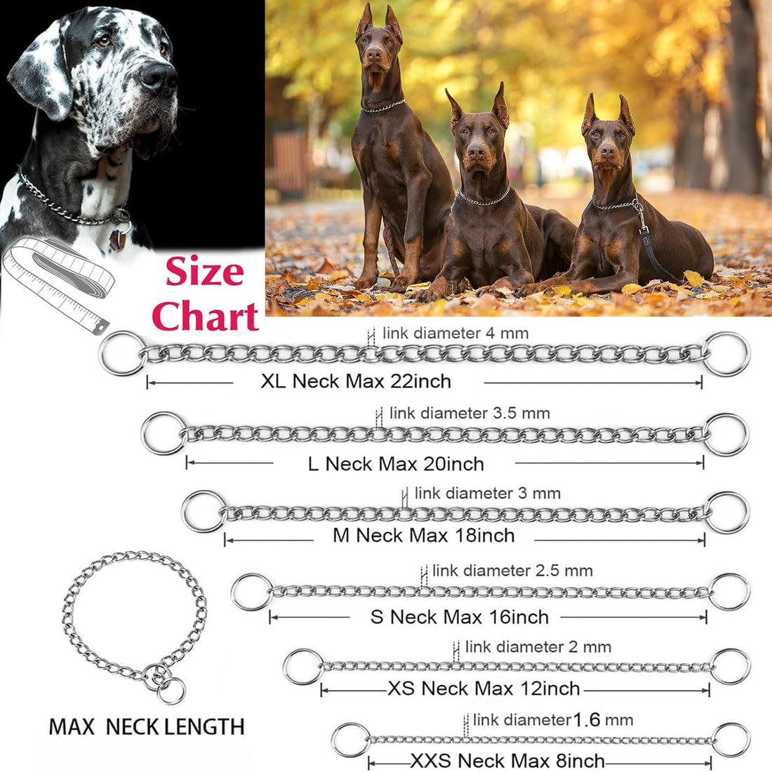 Metal Chain Collar, Martingale Training Collar for Medium Dogs 18-inch