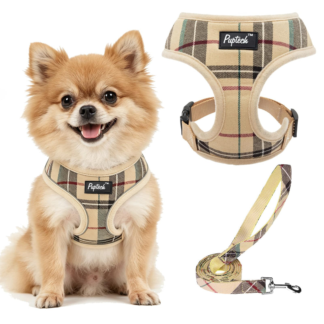 PUPTECK Soft Mesh Dog Harness Small Sized and Leash Set Pet Puppy Cat