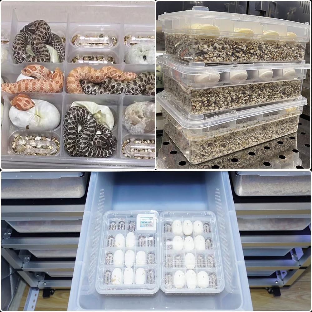 20 Grids Reptile Breeding Box