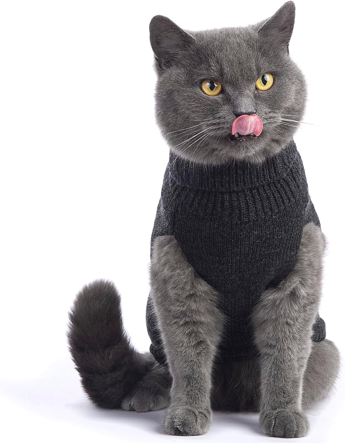 Cat Sweater Stretchy,19 Colors,6 Sizes,Snug Winter Cat/Dog Outfit