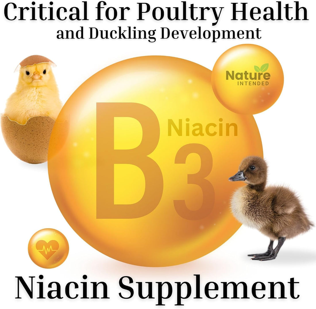 Brewer's Yeast + Probiotics + Niacin + Vitamins Supplement for Ducks