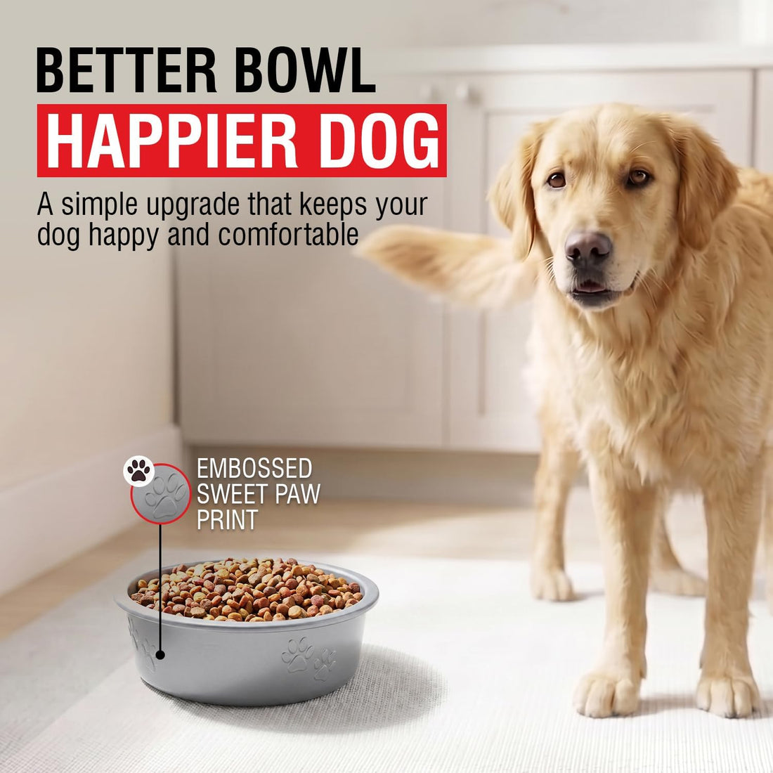 Loving Pets Dolce Luminoso Dog Bowl, Non-Skid Plastic Bowl