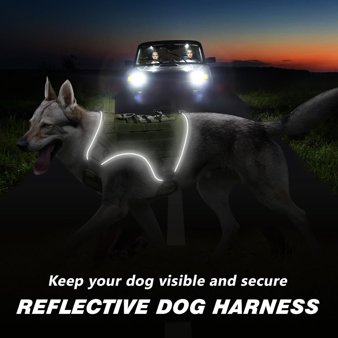 WINGOIN Tactical Dog Harness for Large Dogs