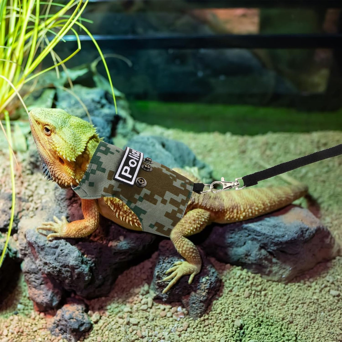 Hypeety Bearded Dragon Harness and Leash Set for Outdoor Walking