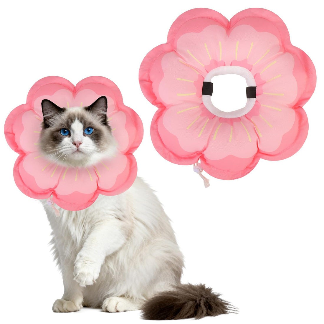 EXPAWLORER Cat Cone Collar Soft