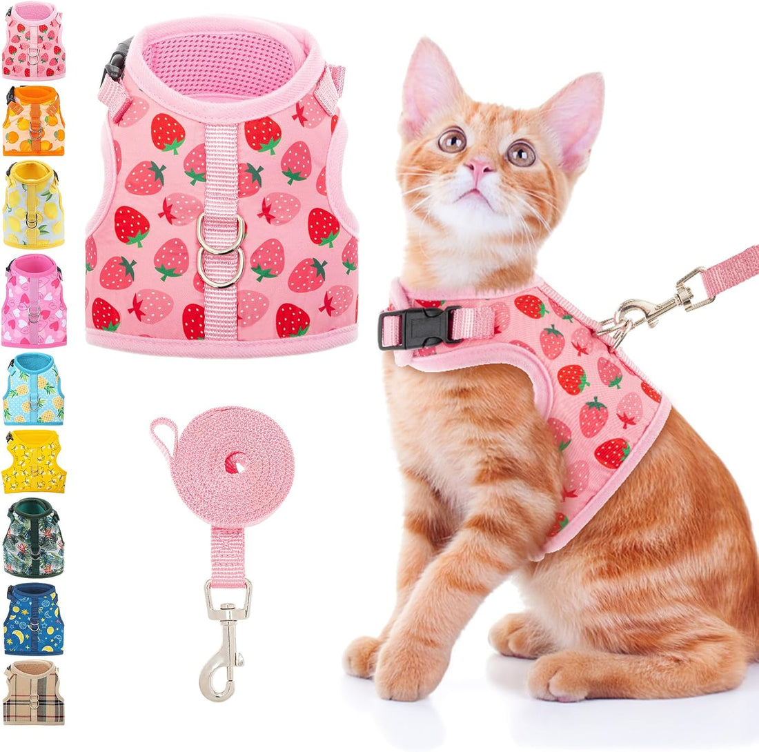 BINGPET Cat Harness and Leash Set, Escape Proof and Adjustable