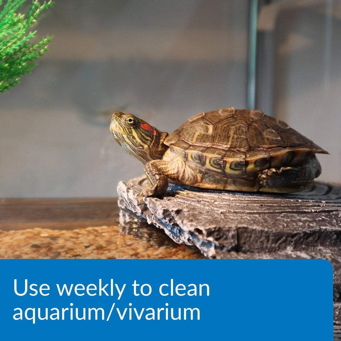 API TURTLE SLUDGE DESTROYER Aquarium Cleaner and Sludge Remover