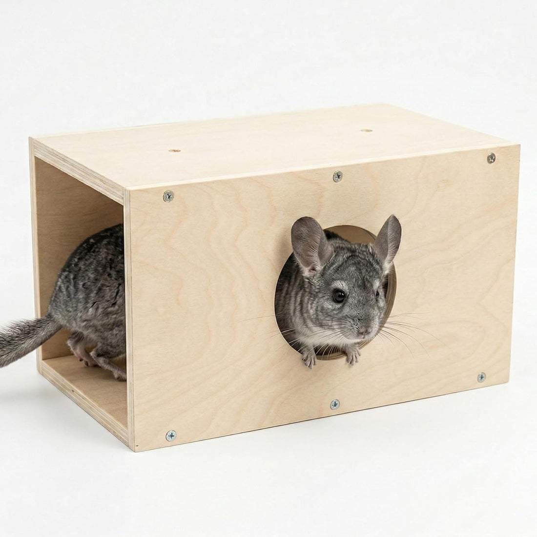 Chinchilla Hanging Wooden Tunnel Toys