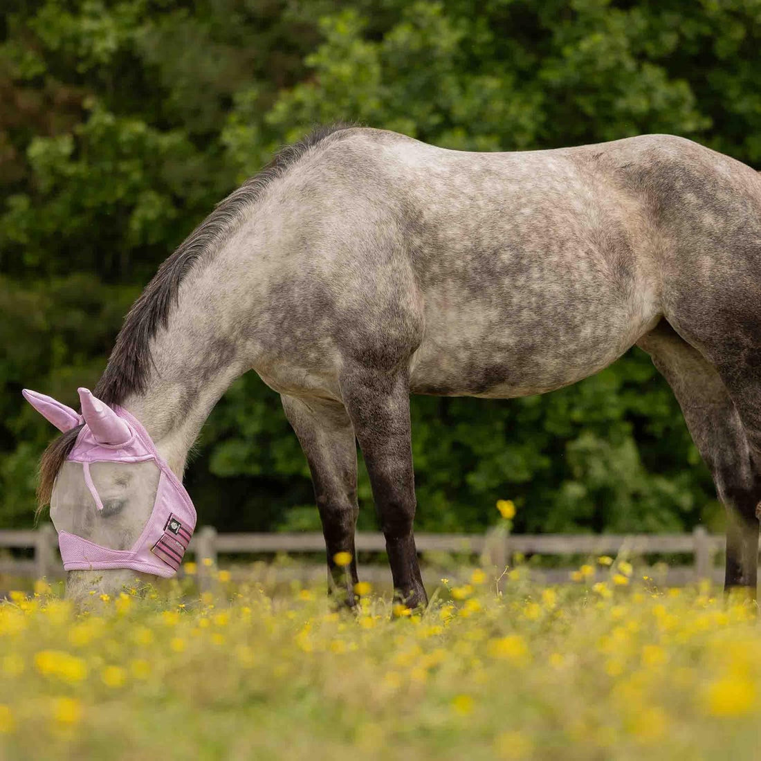 Equinavia Algard Soft Mesh Horse Fly Mask with Ears