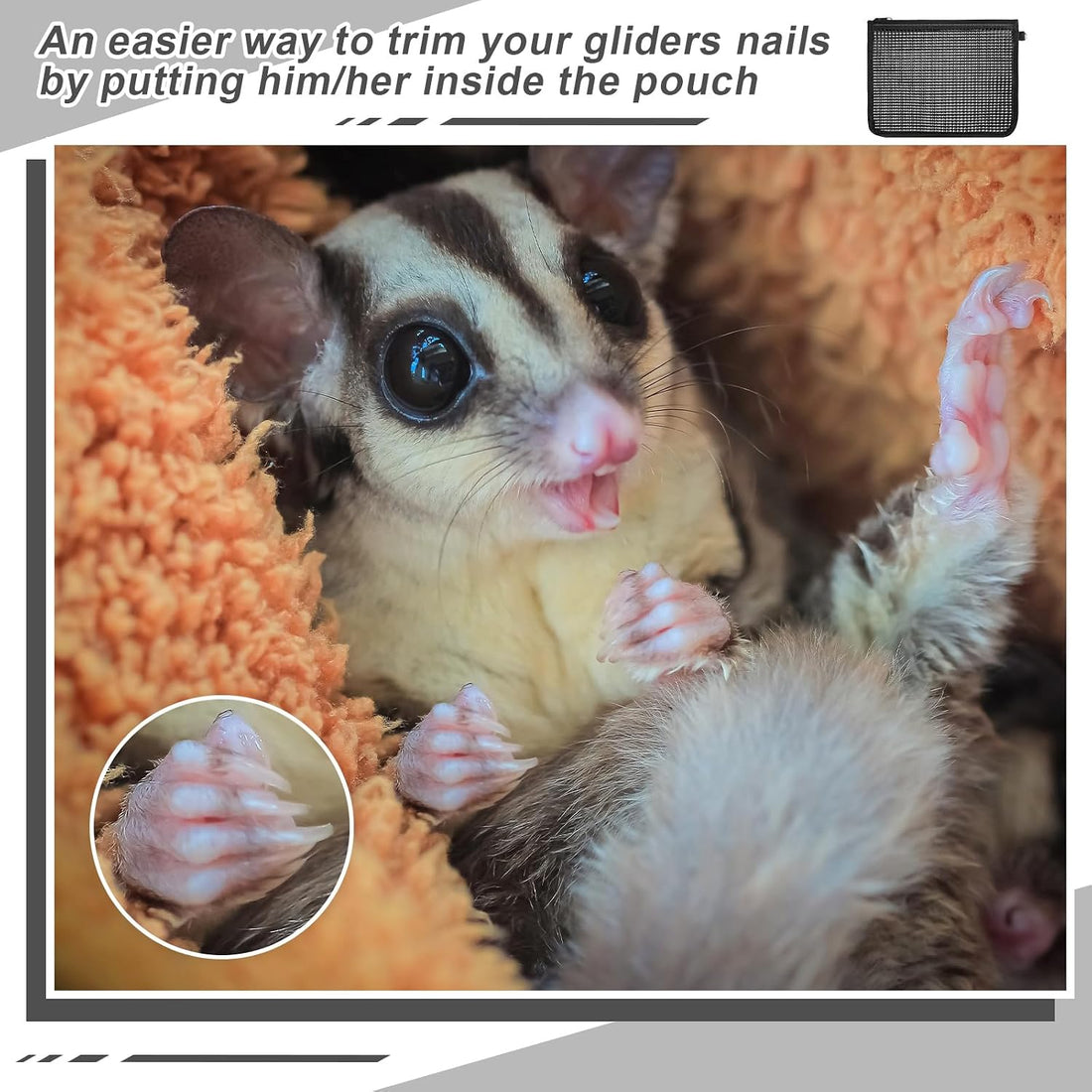 Abbylike 2 Pcs Sugar Glider Nail Trimmer Nails Trimming Pouch Mesh