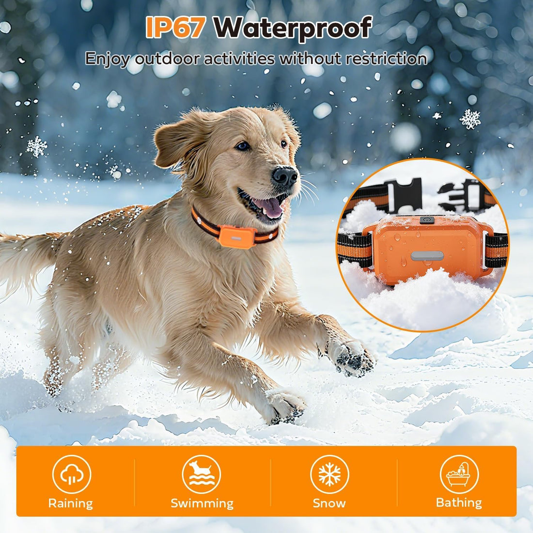 Shock Collar for 2 Dogs with Light Waterproof 2 Pack Remote Training