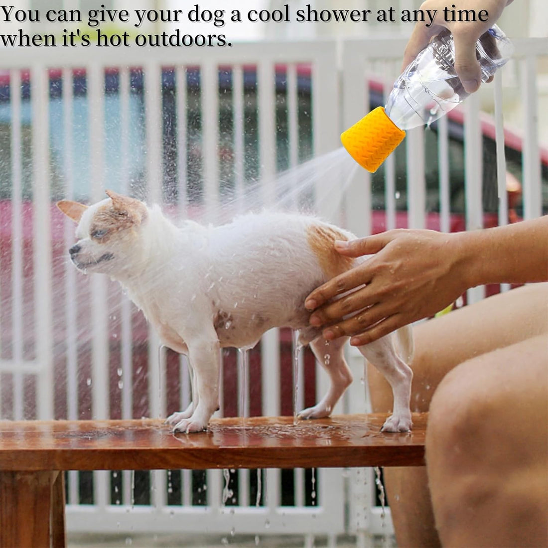 Portable Outdoor Shower for Dogs Bottle Attachment Outdoor Sprayer