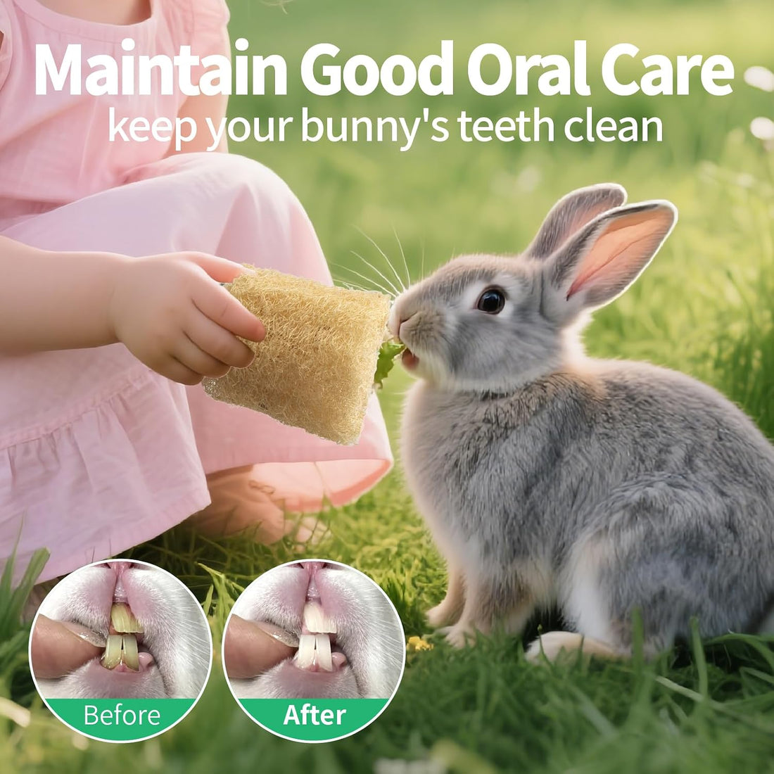 BESNEW 3 PCS Rabbit Chew Toys,100% Natural Loofah Without