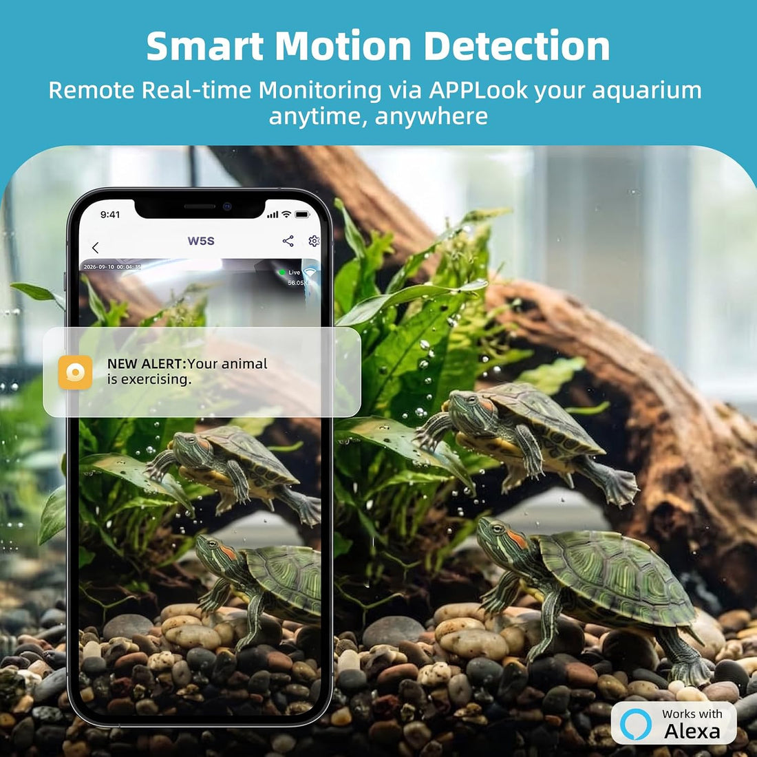 3MP 2K Aquarium Camera for Fish Tank, Reptile & Terrarium Camera