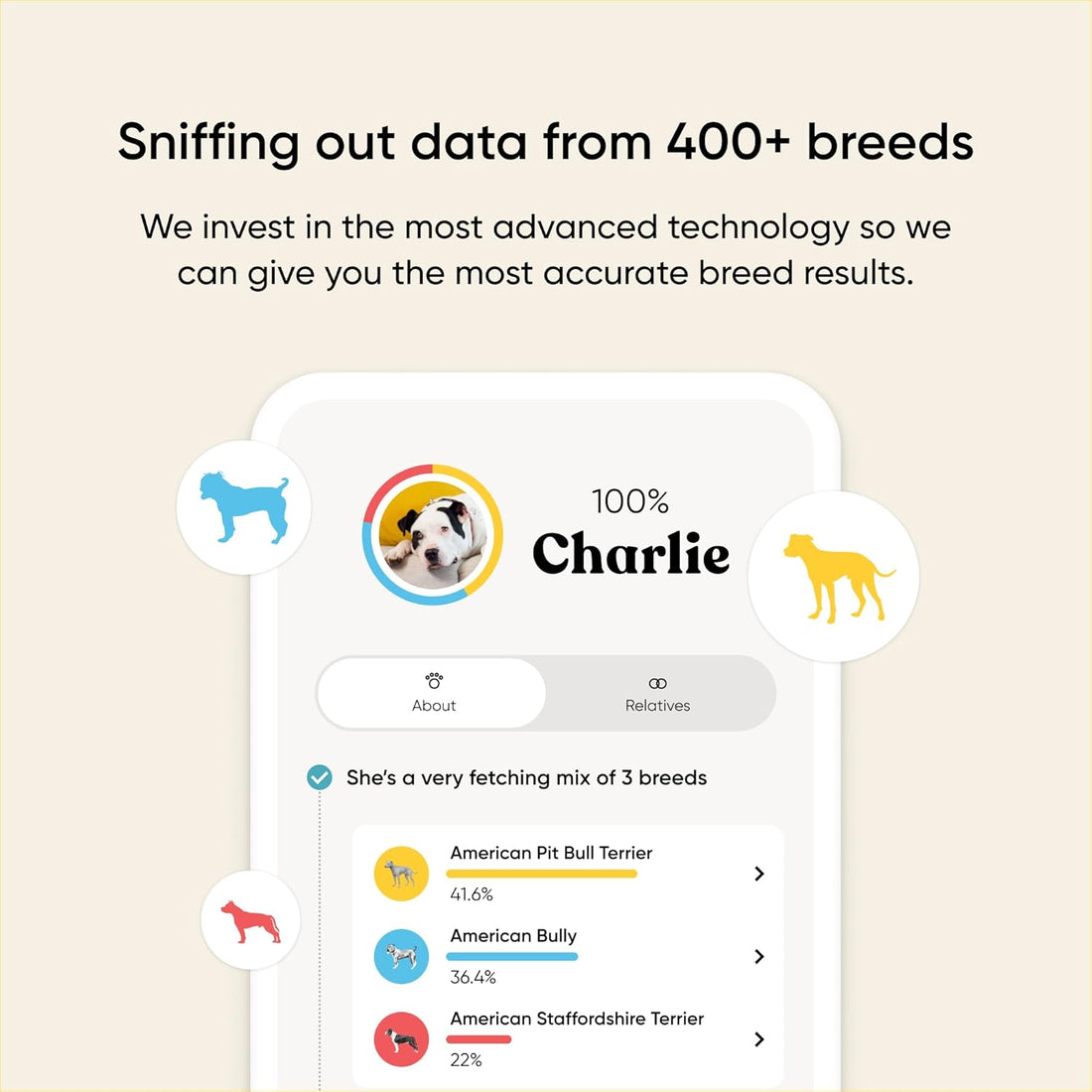 Embark Breed & Health Dog DNA Test - 400+ Breeds