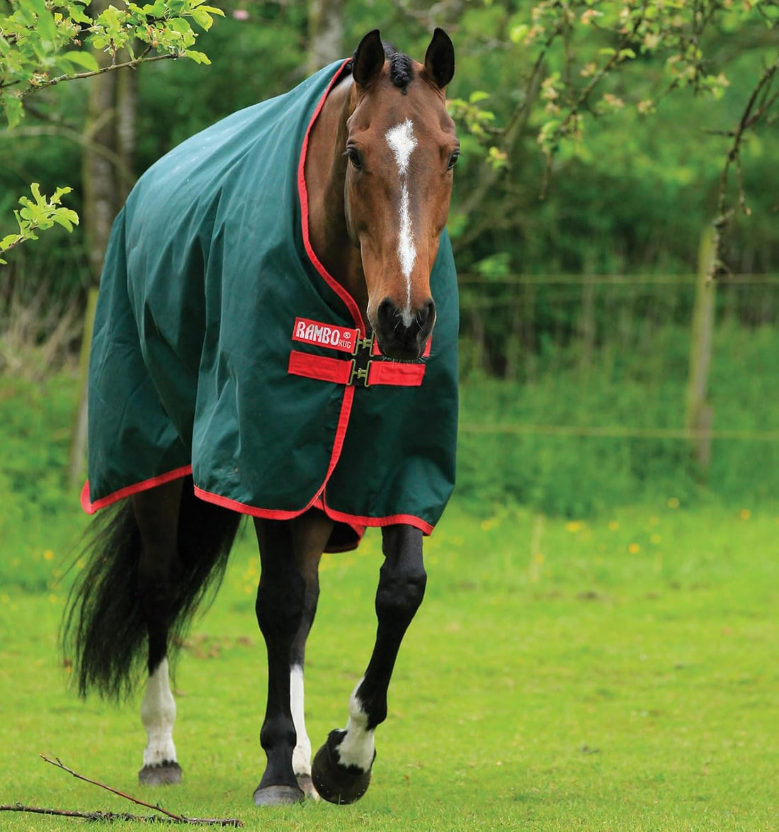 Horseware Ireland Mio Stable Sheet 75