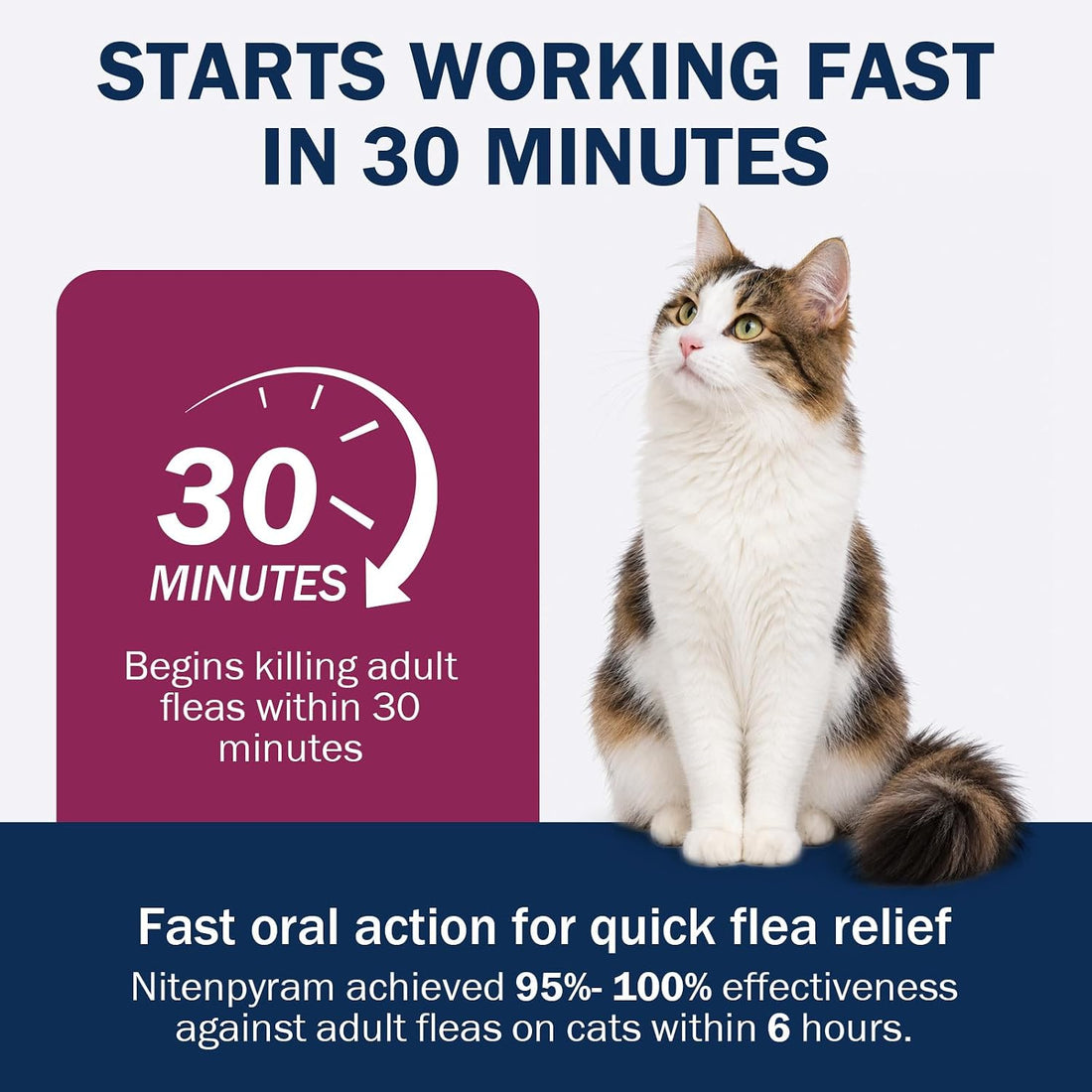 Nitenpyram Tablets for Cats, Cat Flea Tablets 11.4 mg, 12 Doses