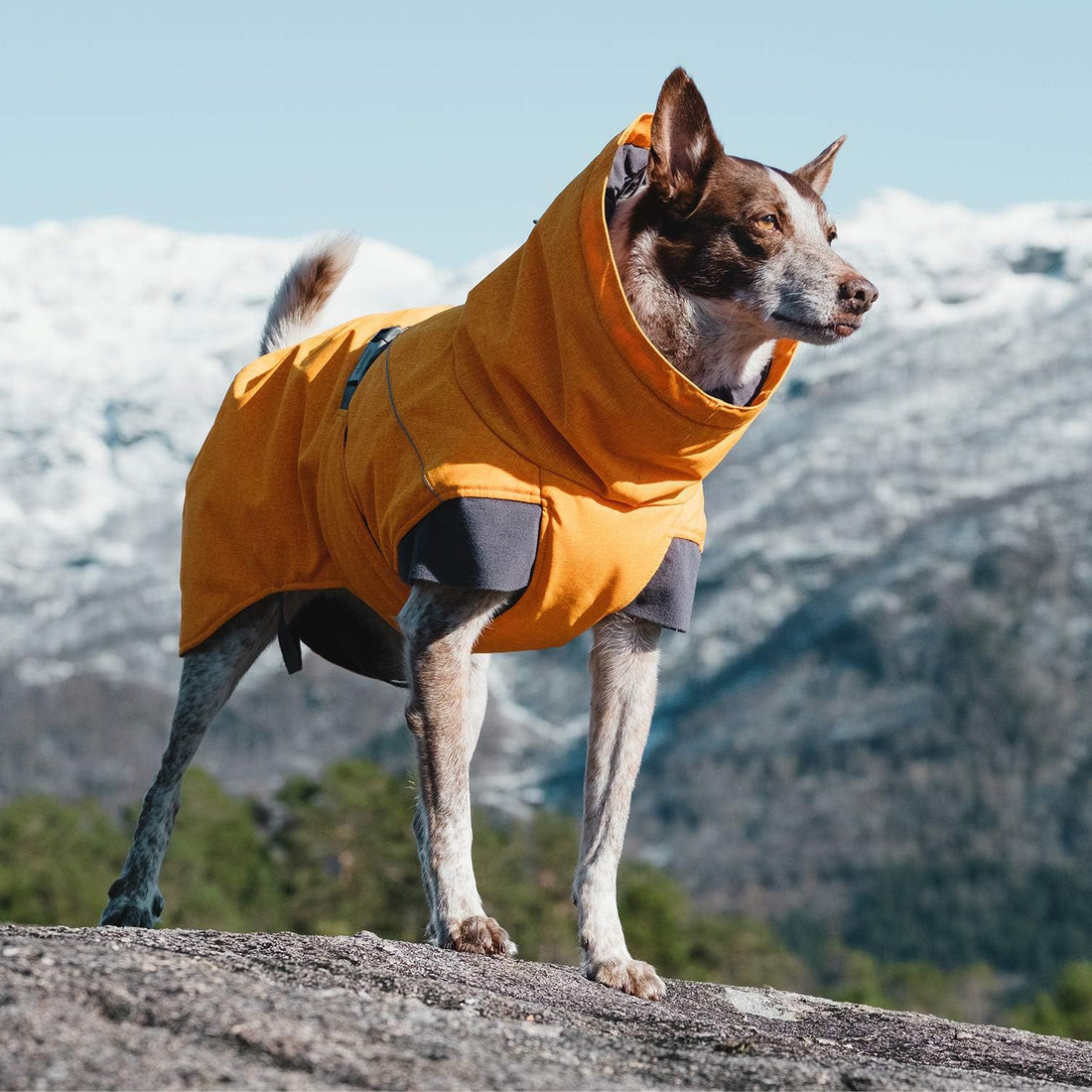 Hurtta Expedition Parka, Winter Dog Coat, Beetroot, 10 in