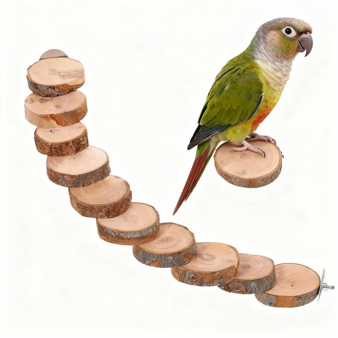 Kisangel Natural Wood Bird Ladder for Cage