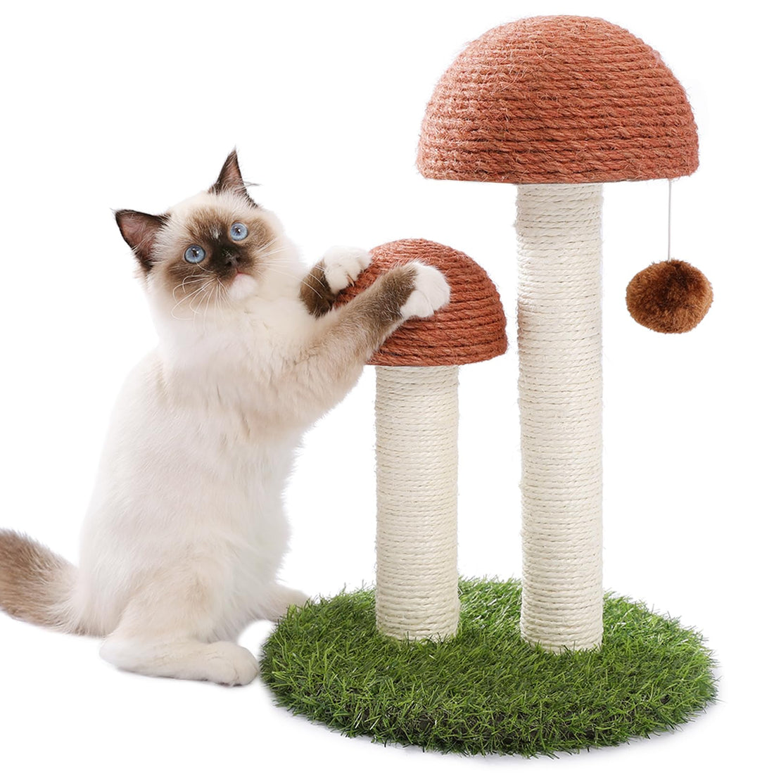 PETEPELA Cat Scratching Post