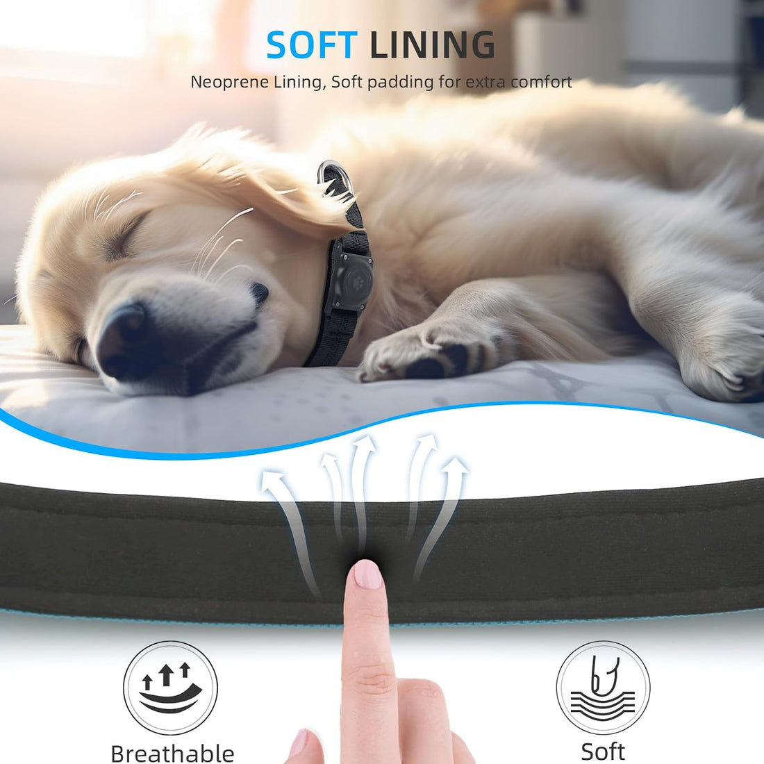 Upgrade Dog Collar with AirTag Holder, IP68 Waterproof, Blue, M