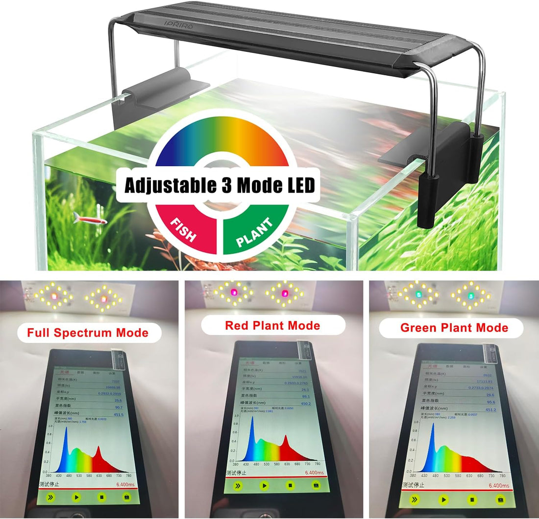 Ultra White Glass Aquarium Starter Kits 1.5 Gallon Small Fish Tank