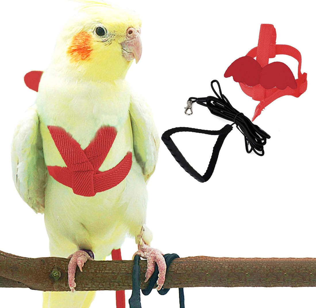 Dnoifne Parrot Harness and Leash, Adjustable Training Design Anti-Bite