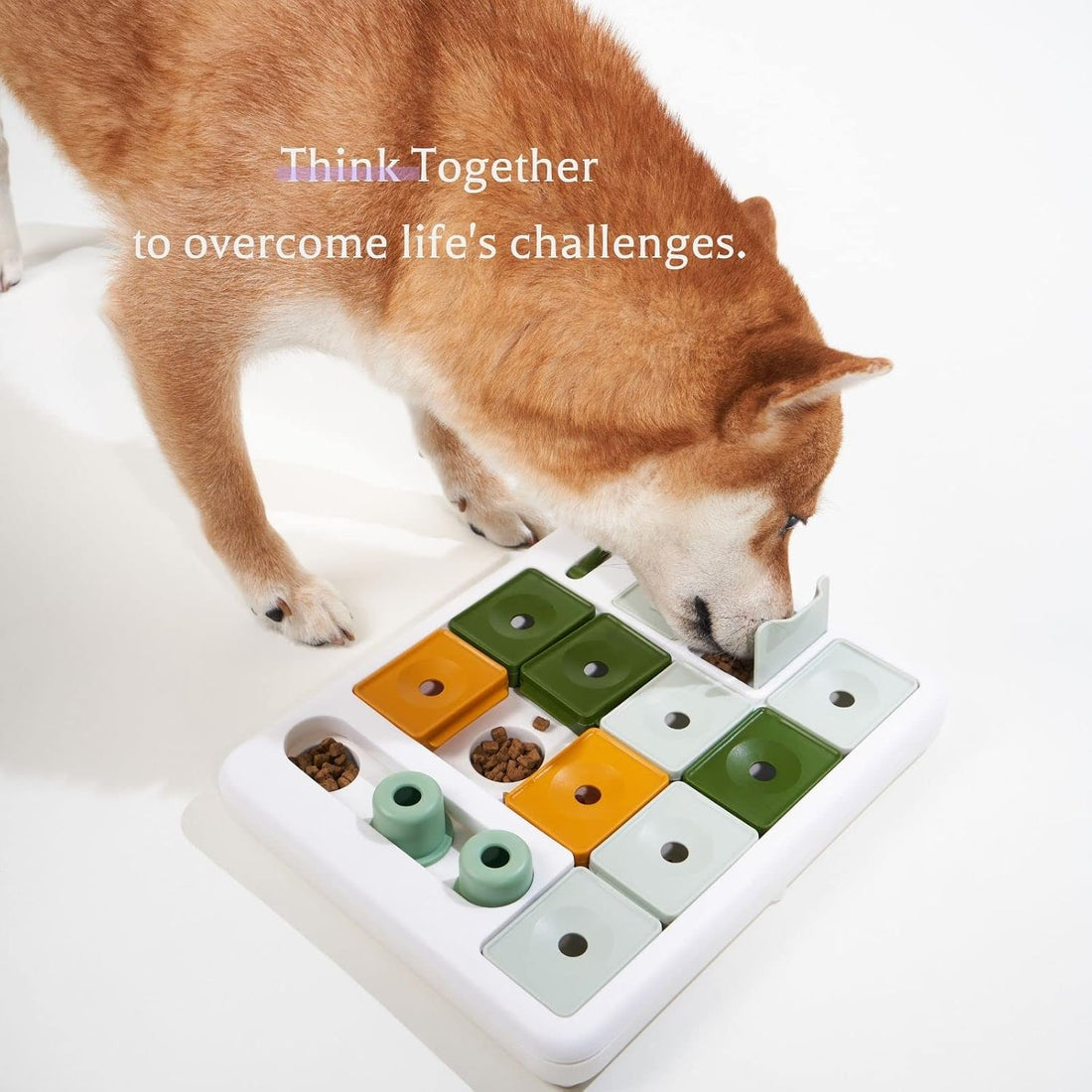 Barkwhiz Dog Puzzle Toy 3 Levels