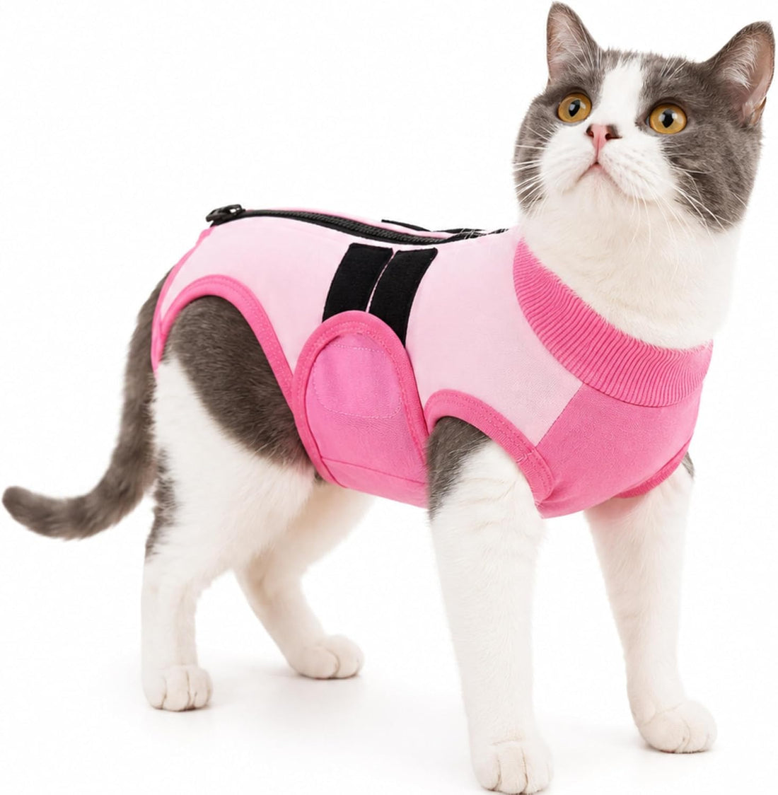 PUMYPOREITY Soft Cat Onesie Surgery Suit for Spay Recovery