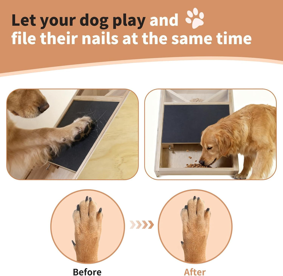 Dog Scratch Board with Treats