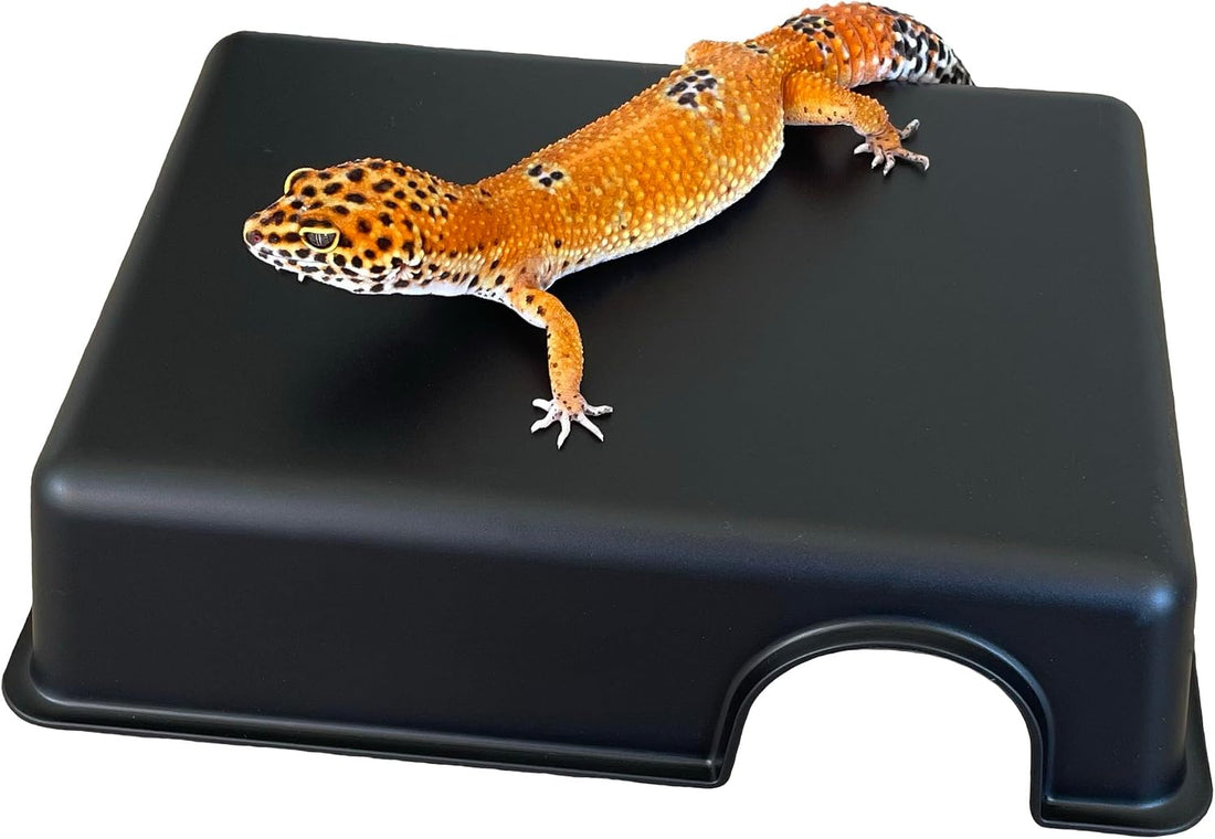 Plastic Reptile Hide Box for Leopard Geckos, Snakes, Lizards