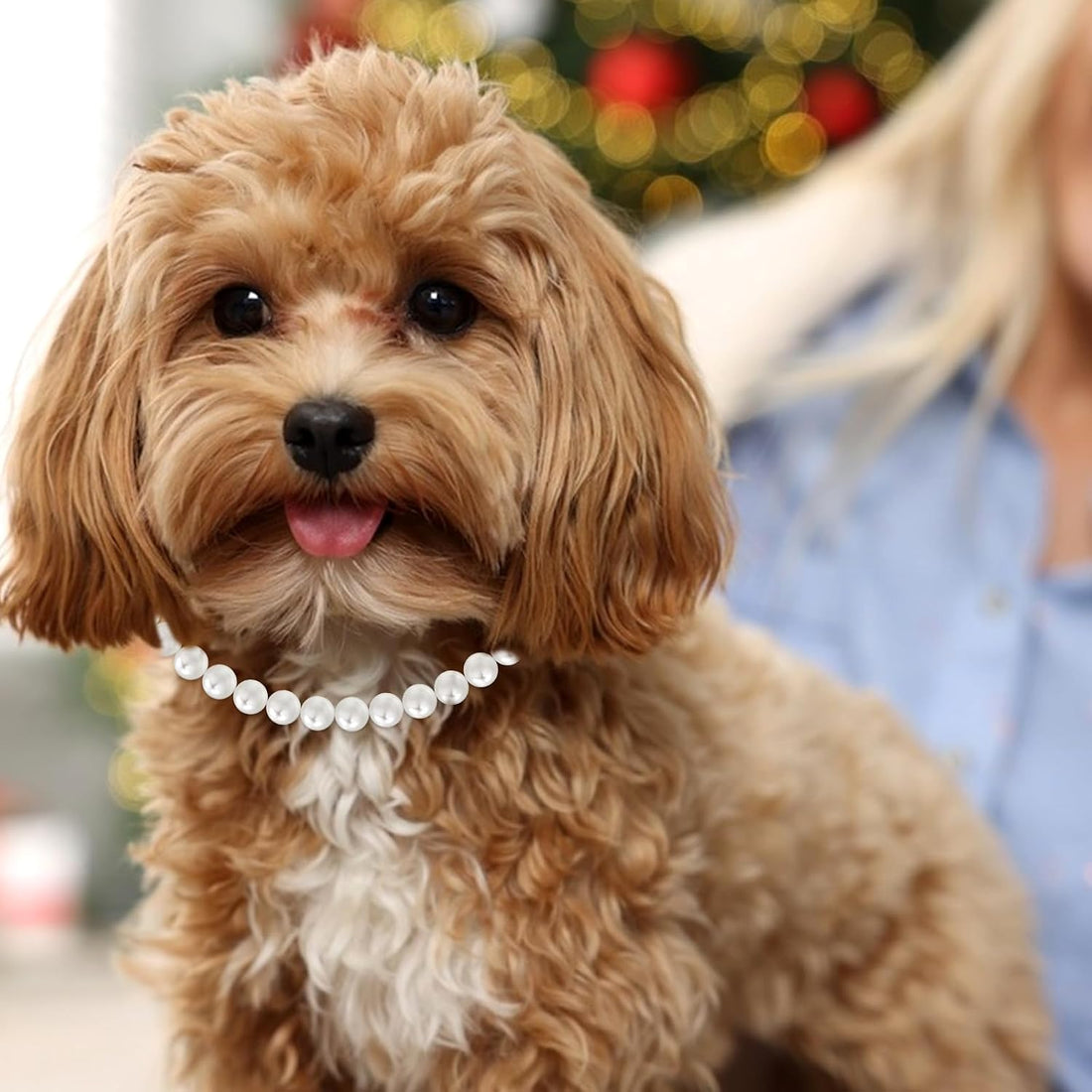 Chunky Pearl Dog Necklace Adjustable Dog Necklace Inner Neck
