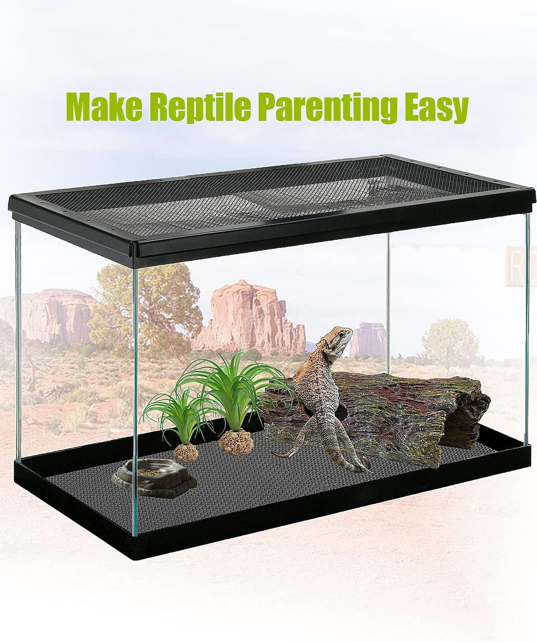 Bearded Dragon Tank Accessories