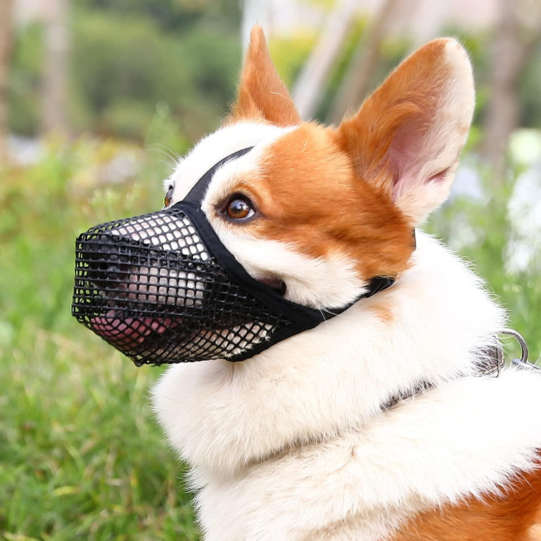 Crazy Felix Mesh Covered Dog Muzzle for Small Medium Large Dog Anti