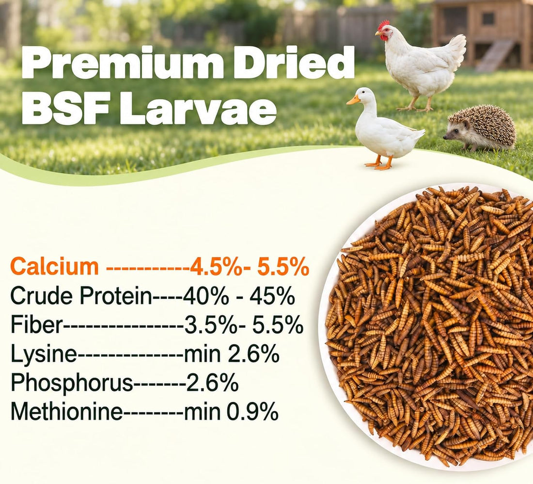 5LB Dried Black Soldier Fly Larvae for Chickens, Reptiles & Birds