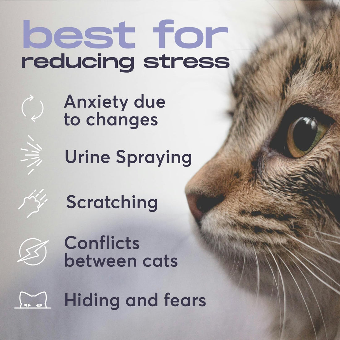 BUDDYJOY Cat Calming Diffuser Refills – Long-Lasting 30-Day Formula