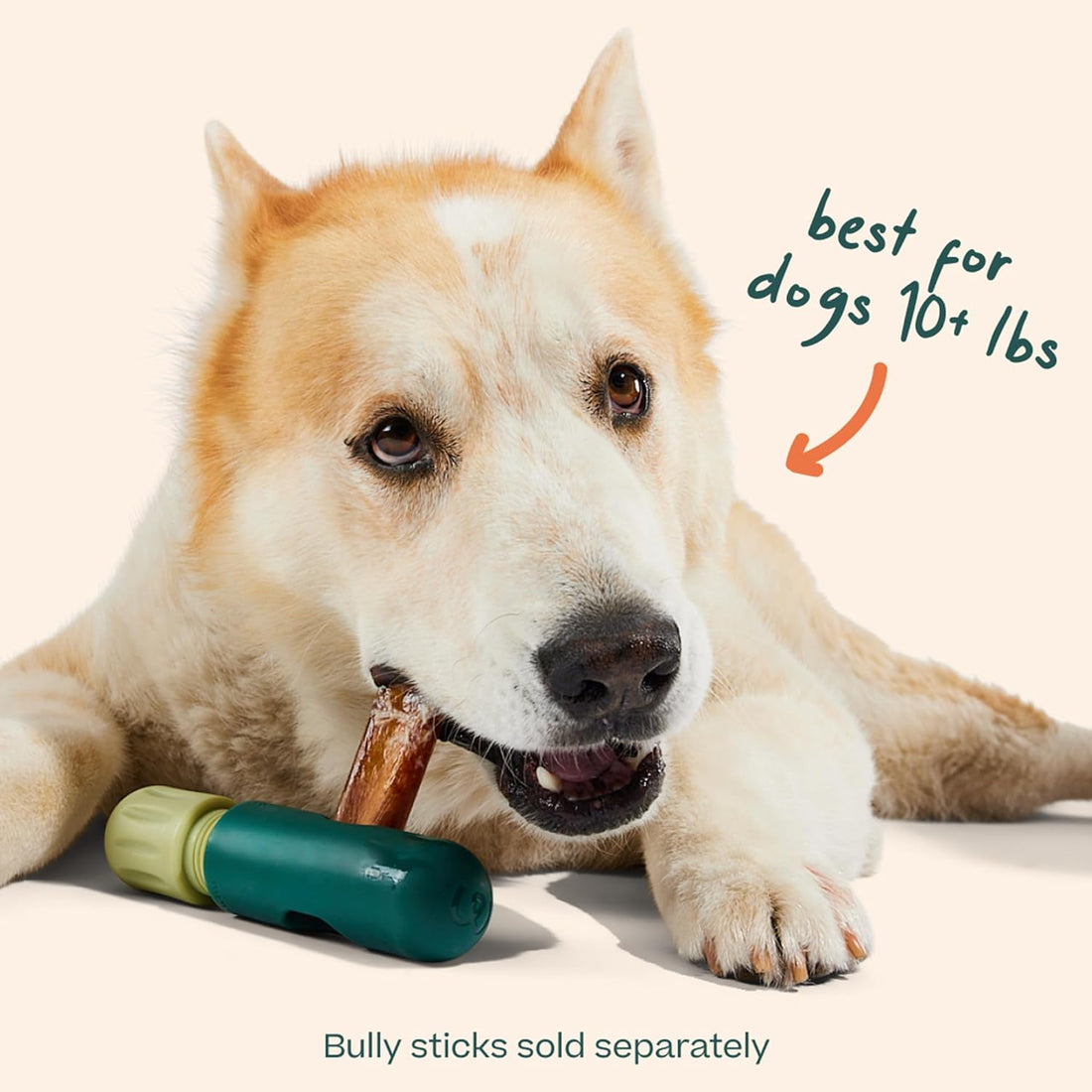 WOOF BullySafe - Bully Stick Holder - Durable Dog Chew Holder for Safe