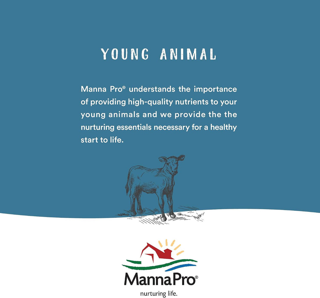 Manna Pro Hen Healer Multi-Purpose Ointment | Helps Support Healing