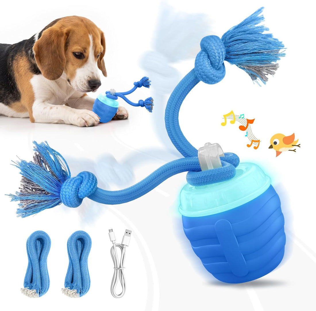 Interactive Dog Toys, Automatic Rolling Dogs Toy with Rope
