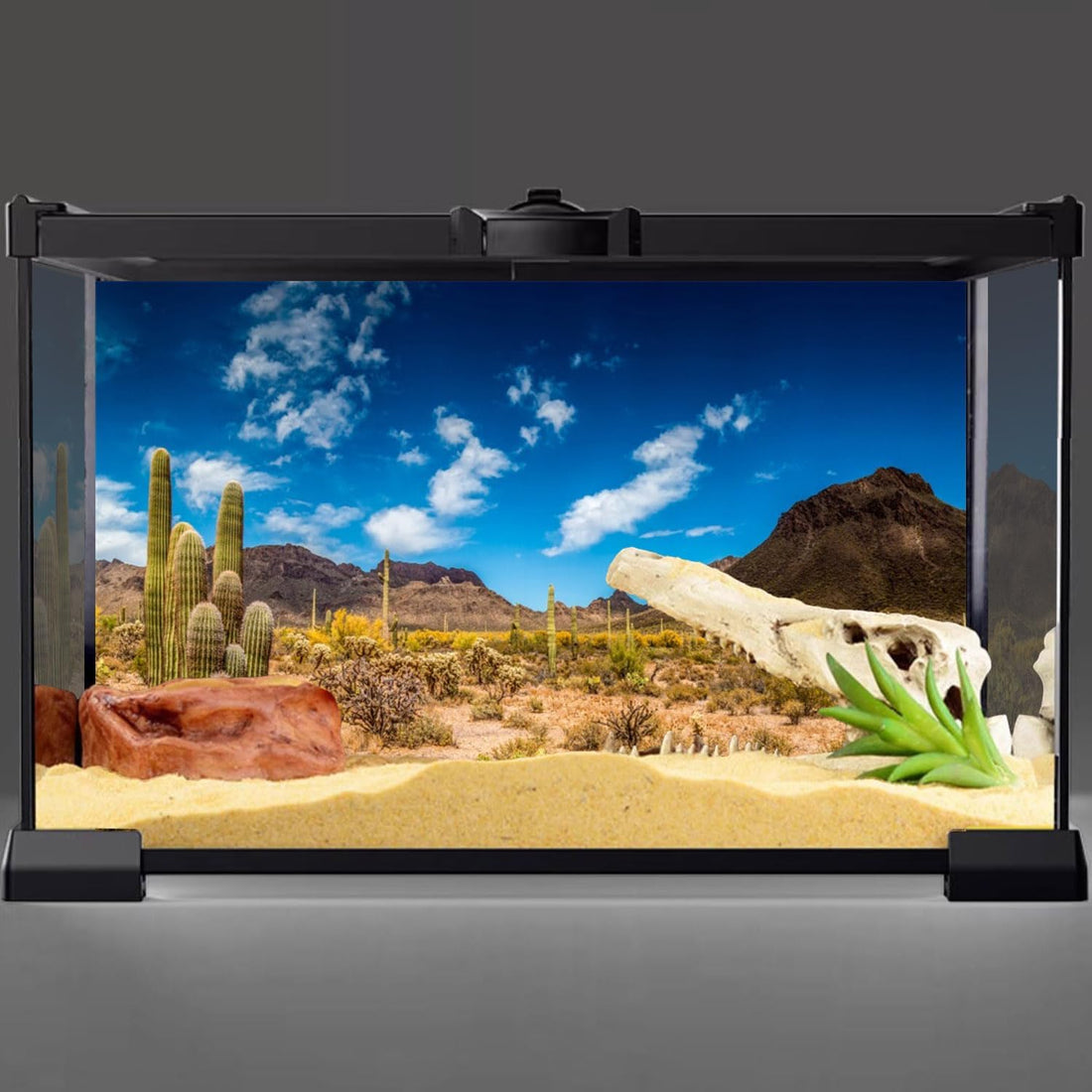 24x12 in Reptile Habitat Background Blue Sky Cactus Desert Tank