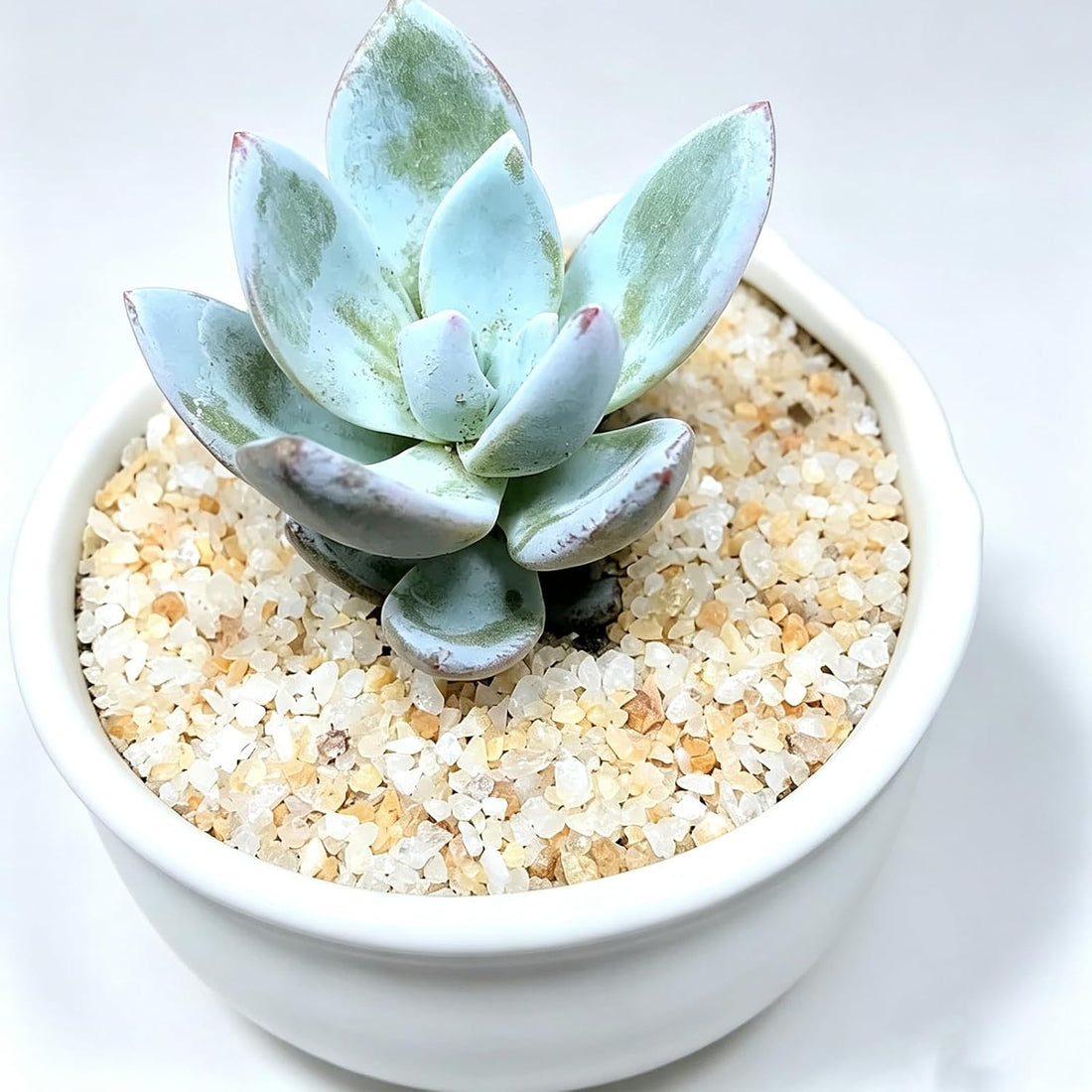 Beige Aquarium Sand, 5lbs Fish Tank Sand Mini Gravel Substrate
