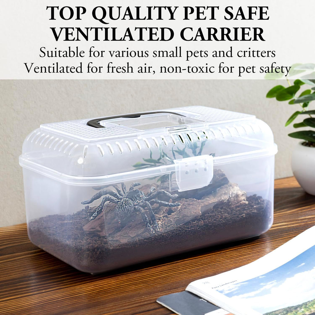 MyGift Reptile Carrier Critter Keeper Terrarium 9.5 x 6 Inch Clear