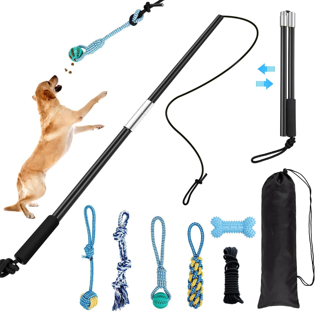 Flirt Pole for Dogs with Squeaker & Rope – Includes XL Carry Bag