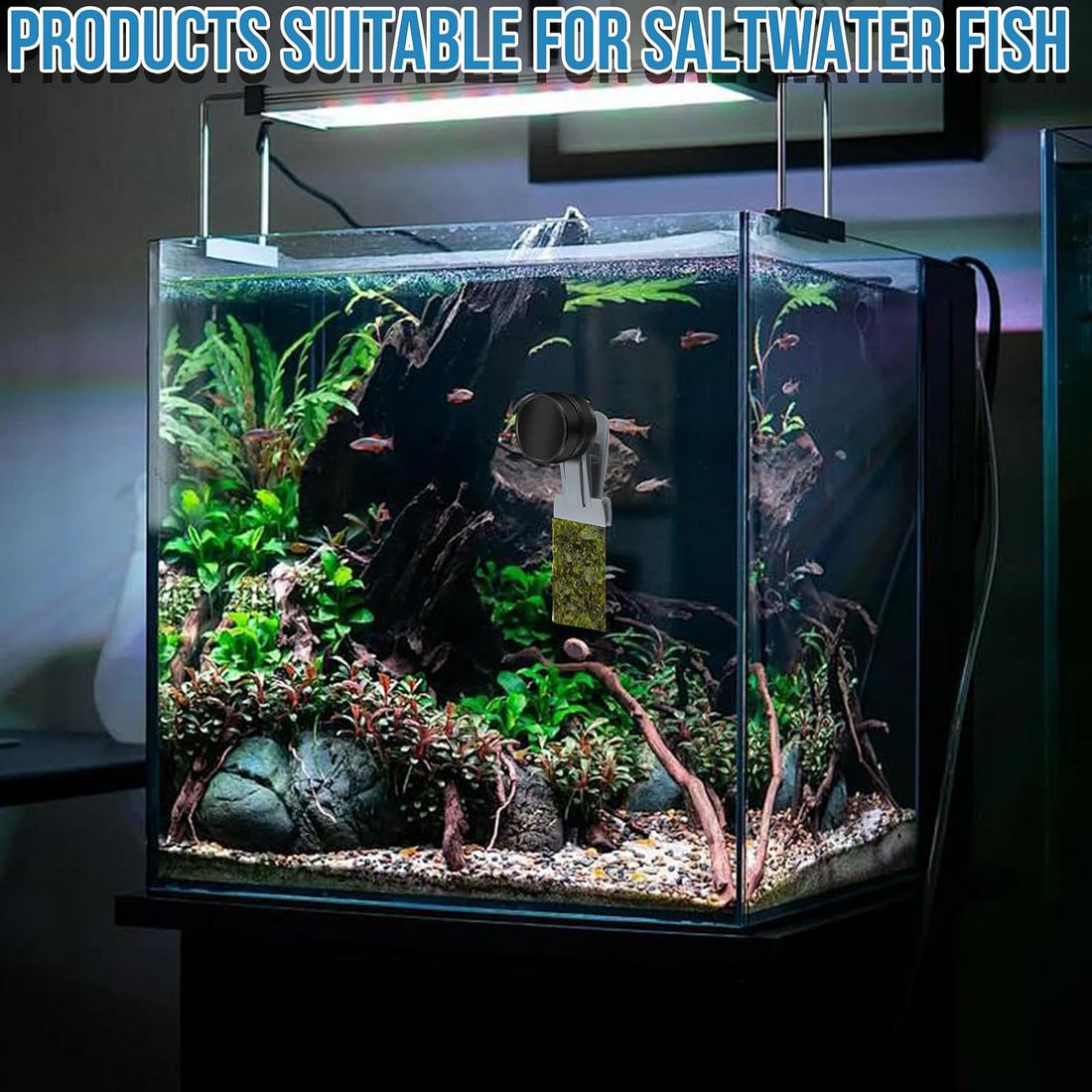 Magnetic Seaweed Feeder Clip