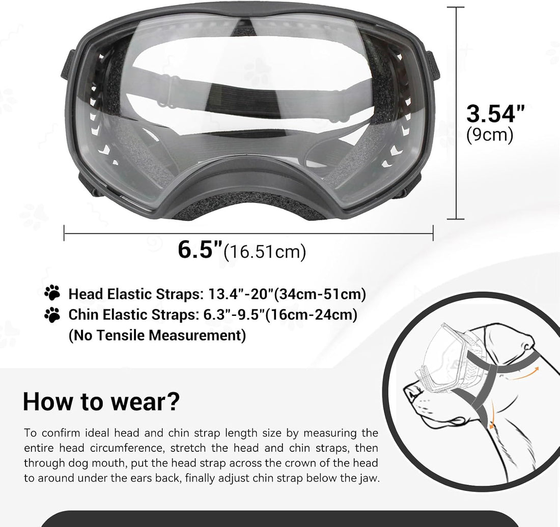 Enjoying Clear Dog Goggles for Large Dogs