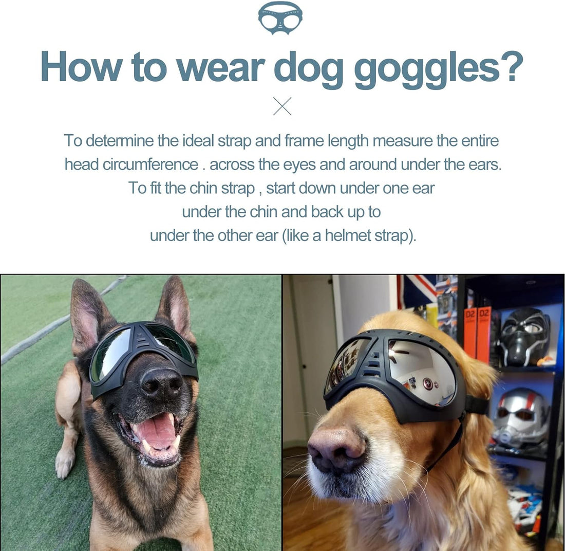 NVTED Dog Goggles Big Area Dog Sunglasses