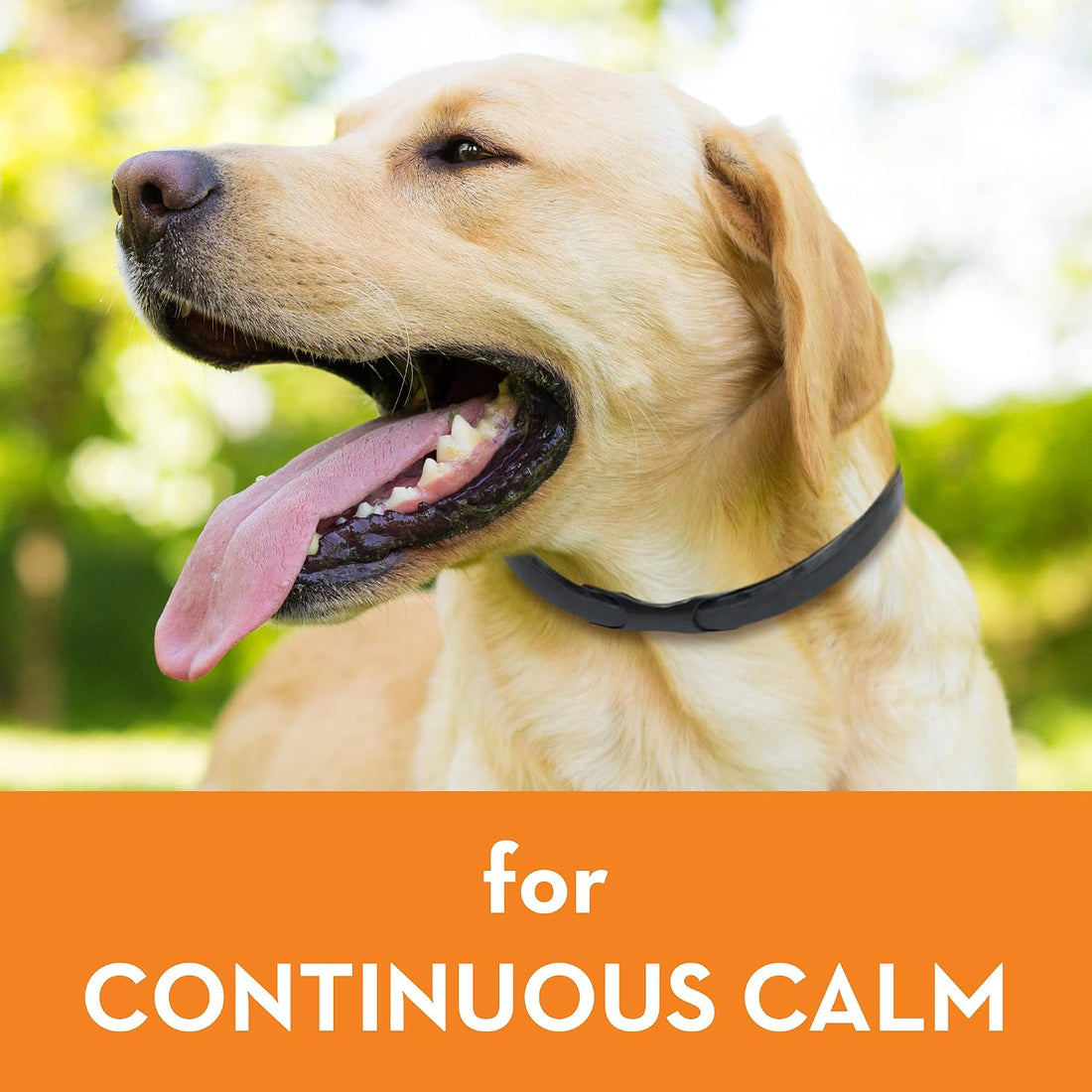 ThunderEase Calming Collar for Dogs (Large)