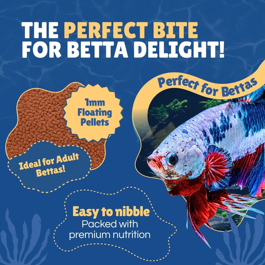 Betta Boost Pops | High-Protein Betta Fish Food Pellets Made in USA