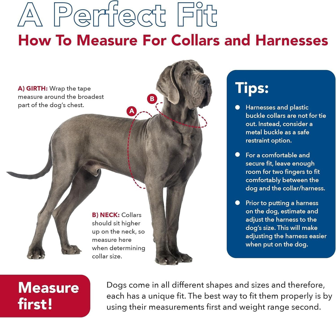 Coastal Pet K9 Explorer Reflective Adjustable Padded, 5/8" x 16" 24"